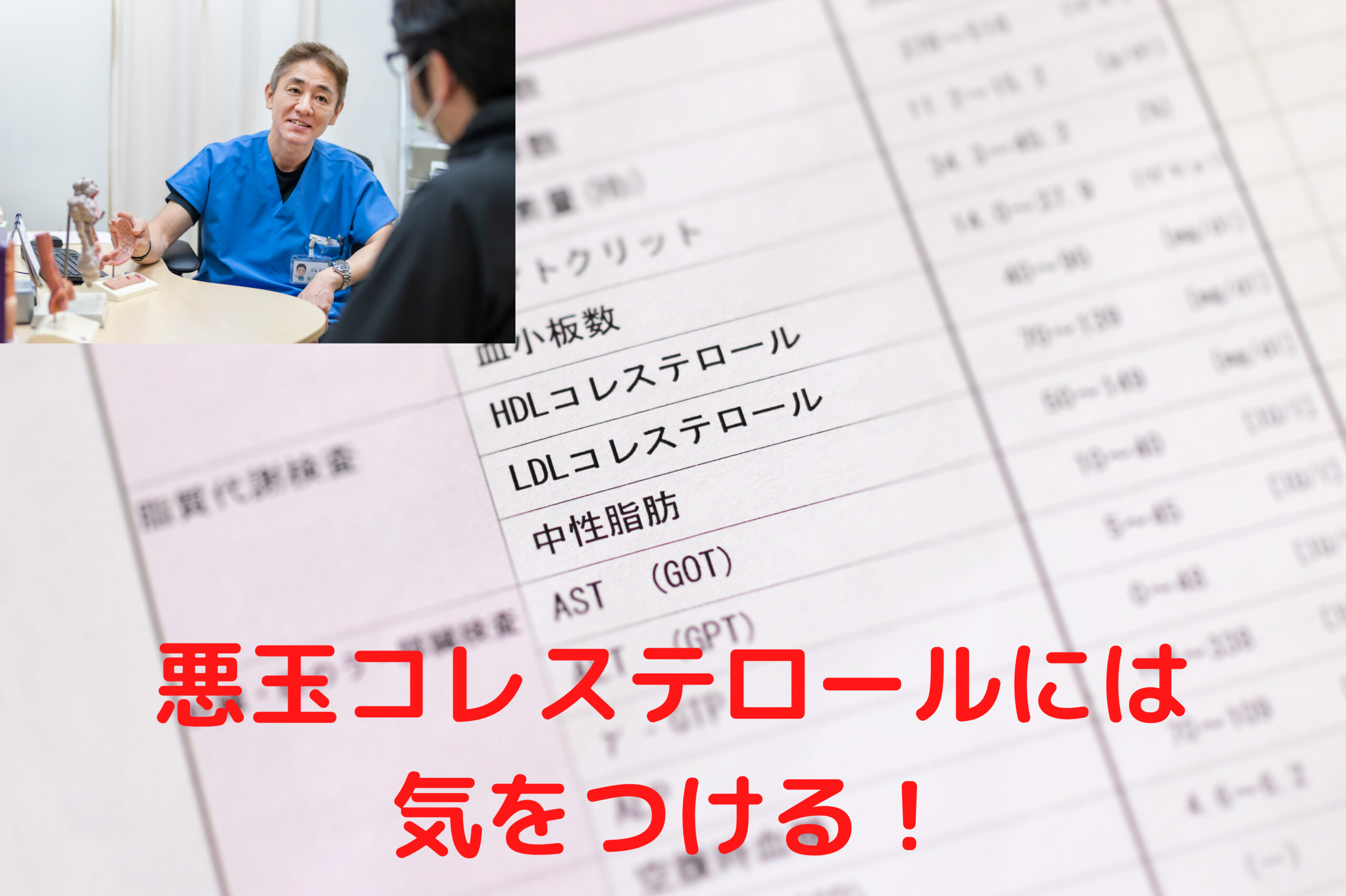 悪玉コレステロール Ldl と善玉コレステロール Hdl 中性脂肪の違い たまプラーザ南口胃腸内科クリニック 消化器内視鏡横浜青葉区院