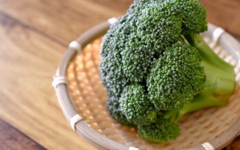 【毎日食べたい優秀すぎる腸活野菜】ブロッコリーは高血圧や大腸がん、便秘予防にも効果的！